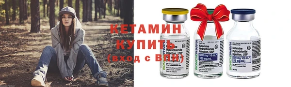 стаф Тутаев