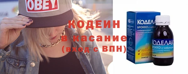 стаф Тутаев
