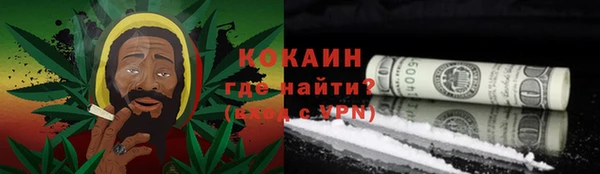 бошки Горняк