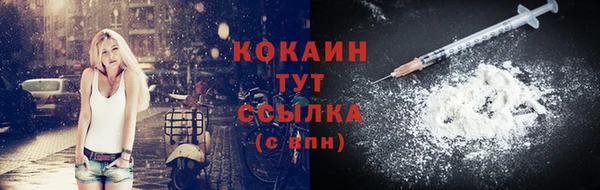 бошки Горняк