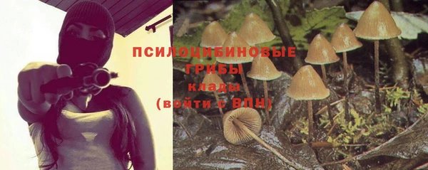 гидропоника Тында