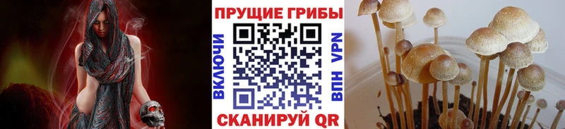 Псилоцибиновые грибы ЛСД Няндома